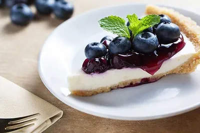 Topfil Wild Blueberry 60%